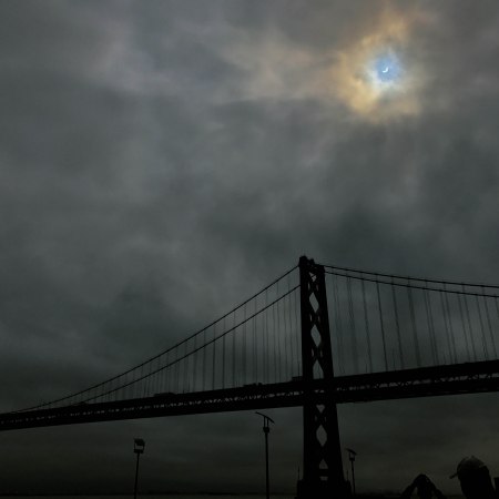 Photo of the Month: August 2017