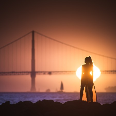 Photo of the Month: November 2017