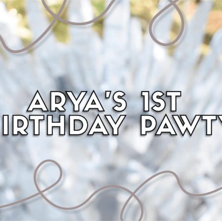 Game of Thrones Dog Pawty